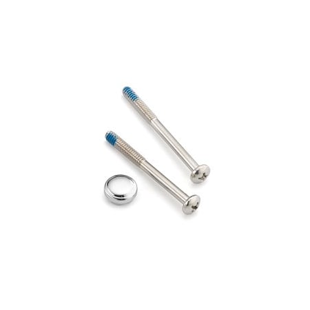 Moen Handle Cap & Screw 114343